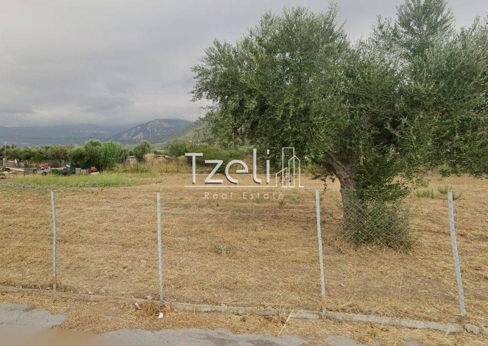 Οικόπεδο 530 τ.μ. για πώληση, Αχαΐα, Μεσσατίδα