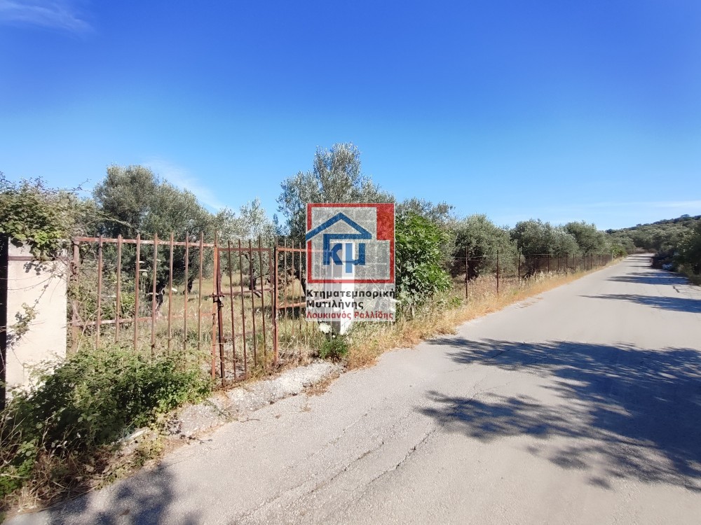 Οικόπεδο 6.000 τ.μ. πρός πώληση, Ν. Λέσβου, Λέσβος - Μυτιλήνη