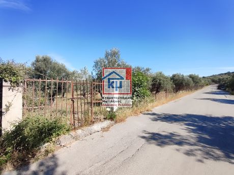 Οικόπεδο 6.000 τ.μ. προς πώληση