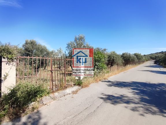 Οικόπεδο 6.000 τ.μ. για πώληση, Ν. Λέσβου, Λέσβος - Μυτιλήνη