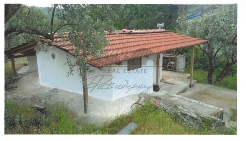 Οικόπεδο 5.371 τ.μ. πρός πώληση, Μαγνησία, Αφέτες