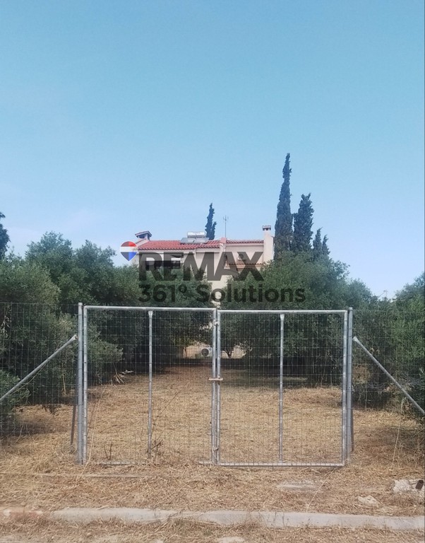 Οικόπεδο 810 τ.μ. πρός ενοικίαση, Αθήνα - Ανατολικά Προάστια, Σπάτα