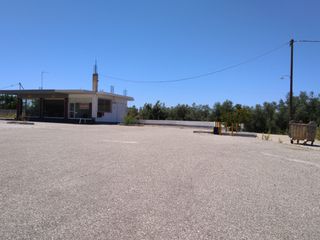 Αγροτεμάχια 6.000 τ.μ. για πώληση