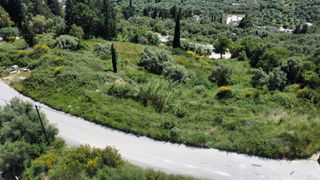 Αγροτεμάχια 4.413 τ.μ. για πώληση, Ν. Λευκάδας, Λευκάδα-thumb-18