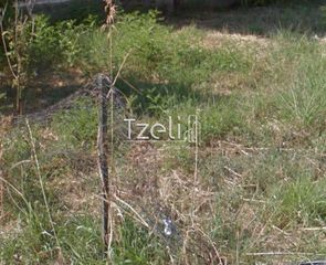 Οικόπεδο 1.150 τ.μ. για πώληση