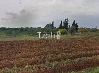 Αγροτεμάχια 5.001 τ.μ. για πώληση, Αχαΐα, Μεσσατίδα-thumb-2