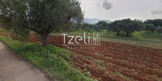 Αγροτεμάχια 5.001 τ.μ. για πώληση, Αχαΐα, Μεσσατίδα-thumb-1