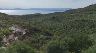 Οικόπεδο 8.027 τ.μ. για πώληση