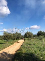 Οικόπεδο 9.000 τ.μ. για πώληση, Αχαΐα, Ωλένια-thumb-1
