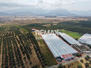 Οικόπεδο 8.700 τ.μ. για πώληση