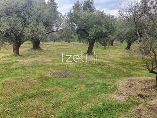 Οικόπεδο 250 τ.μ. για πώληση