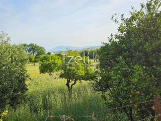 Οικόπεδο 5.000 τ.μ. για ενοικίαση, Αχαΐα, Μεσσατίδα-thumb-3