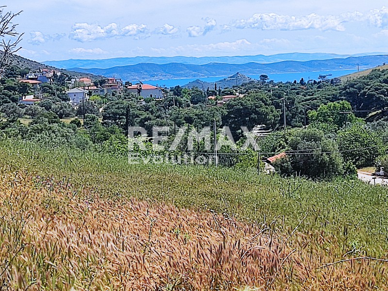Αγροτεμάχια 5.258 τ.μ. πρός πώληση, Αττική - Υπόλοιπο, Κερατέα