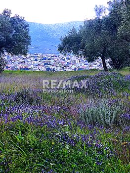 Parcel 5.100 sqm for sale