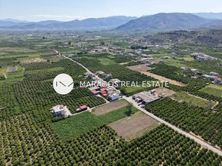 Οικόπεδο 8.049 τ.μ. για πώληση, Αργολίδα, Άργος-thumb-14