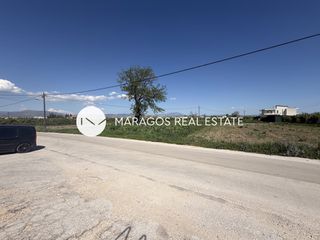 Οικόπεδο 8.049 τ.μ. για πώληση, Αργολίδα, Άργος-thumb-21