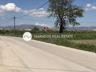 Οικόπεδο 8.049 τ.μ. για πώληση, Αργολίδα, Άργος-thumb-25
