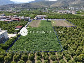 Οικόπεδο 8.049 τ.μ. για πώληση, Αργολίδα, Άργος-thumb-6
