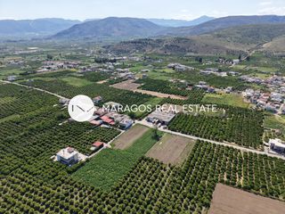 Οικόπεδο 8.049 τ.μ. για πώληση, Αργολίδα, Άργος-thumb-13