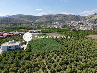 Οικόπεδο 8.049 τ.μ. για πώληση, Αργολίδα, Άργος-thumb-8