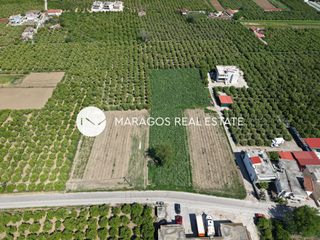 Οικόπεδο 8.049 τ.μ. για πώληση, Αργολίδα, Άργος-thumb-16