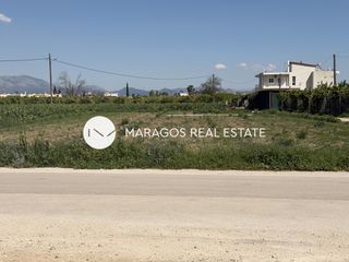 Οικόπεδο 8.049 τ.μ. για πώληση, Αργολίδα, Άργος-thumb-27