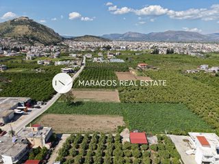 Οικόπεδο 8.049 τ.μ. για πώληση, Αργολίδα, Άργος-thumb-9