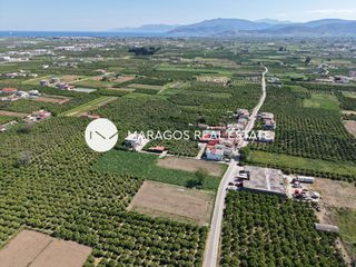 Οικόπεδο 8.049 τ.μ. για πώληση, Αργολίδα, Άργος-thumb-15