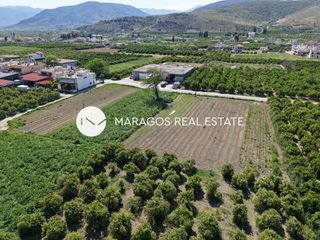 Οικόπεδο 8.049 τ.μ. για πώληση, Αργολίδα, Άργος-thumb-7