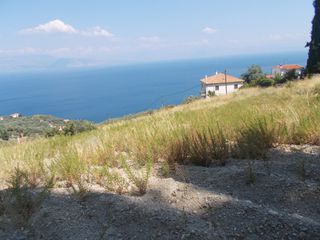 Οικόπεδο 3.000 τ.μ. για πώληση
