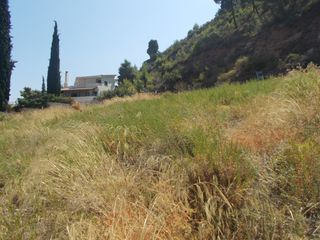 Οικόπεδο 3.000 τ.μ. προς πώληση, Πλάτανος Ακράτας-thumb-3