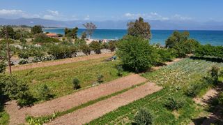 Μονοκατοικία 75 τ.μ. προς πώληση, Τζάνες Πεταλιδίου-thumb-12
