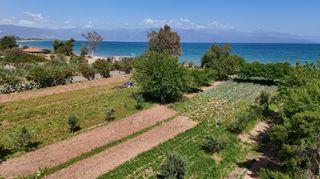 Μονοκατοικία 75 τ.μ. προς πώληση, Τζάνες Πεταλιδίου-thumb-10