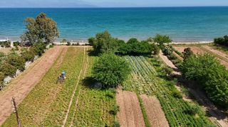 Μονοκατοικία 75 τ.μ. προς πώληση, Τζάνες Πεταλιδίου-thumb-11