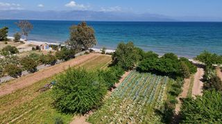 Μονοκατοικία 75 τ.μ. προς πώληση, Τζάνες Πεταλιδίου-thumb-20