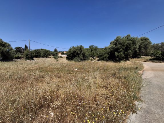 Οικόπεδο 756 τ.μ. για πώληση, Ν. Κεφαλονιάς, Κεφαλονιά