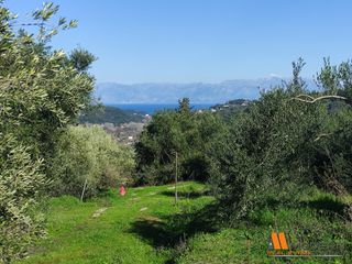 Αγροτεμάχια 9.055 τ.μ. για πώληση