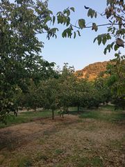 Αγροτεμάχια 7.500 τ.μ. για πώληση, Ν. Σερρών, Σιδηρόκαστρο-thumb-1