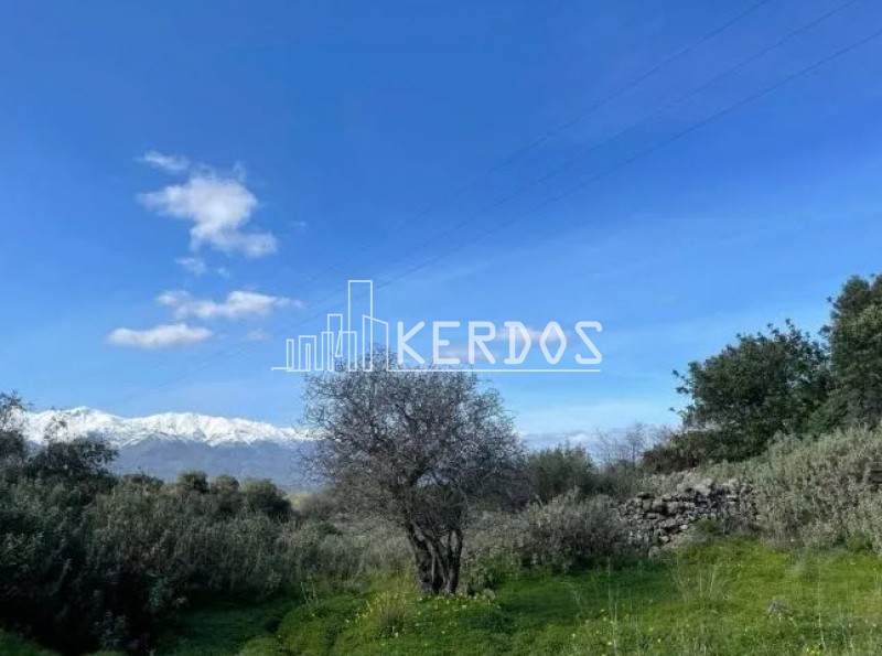 Οικόπεδο 1.022 τ.μ. πρός πώληση, Ν. Χανίων, Βάμος