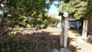 Αγροτεμάχια 7.690 τ.μ. για πώληση