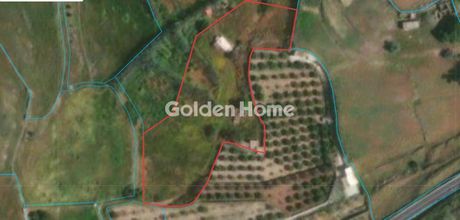 Parcel 4.000 sqm for rent