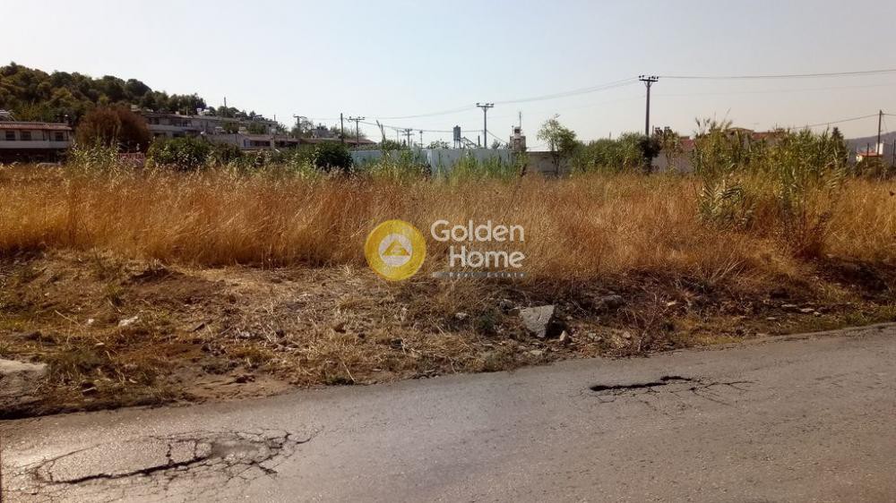 Αγροτεμάχια 2.000 τ.μ. προς ενοικίαση, Νέο Νεκροταφείο Αχαρνών