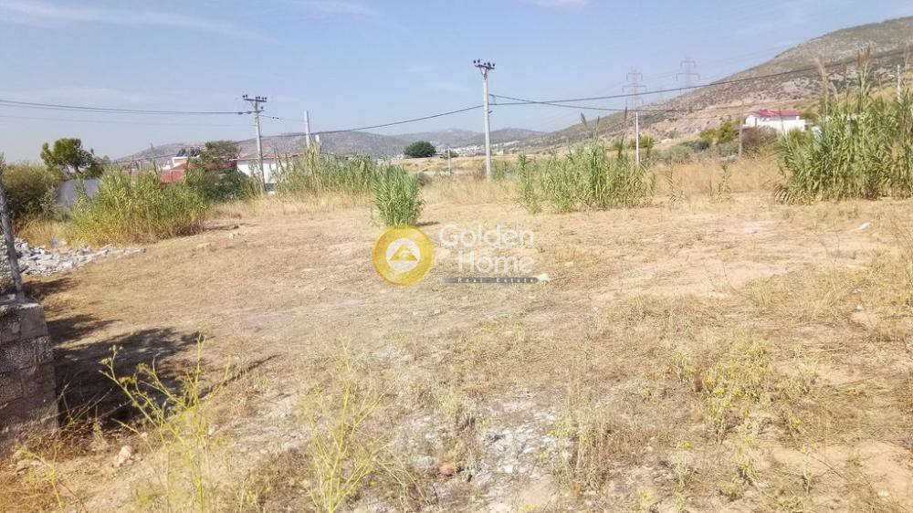 Αγροτεμάχια 2.000 τ.μ. προς ενοικίαση, Νέο Νεκροταφείο Αχαρνών