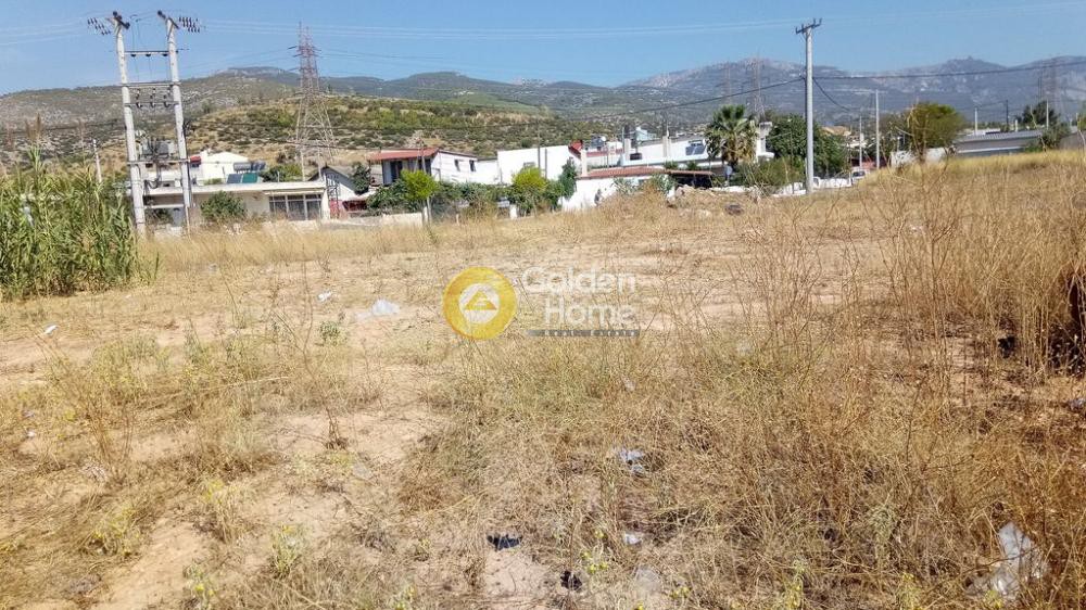 Αγροτεμάχια 2.000 τ.μ. προς ενοικίαση, Νέο Νεκροταφείο Αχαρνών