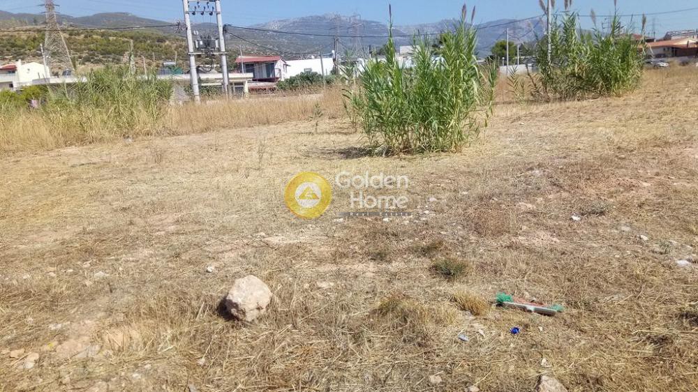 Αγροτεμάχια 2.000 τ.μ. προς ενοικίαση, Νέο Νεκροταφείο Αχαρνών