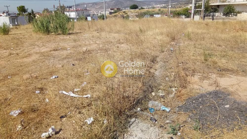Αγροτεμάχια 2.000 τ.μ. προς ενοικίαση, Νέο Νεκροταφείο Αχαρνών