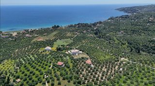 Μονοκατοικία 63 τ.μ. προς πώληση, Ασίνη Κορώνης-thumb-17