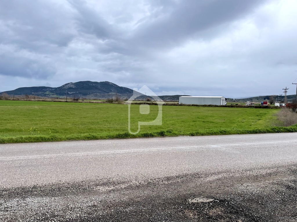 Αγροτεμάχια 13.400 τ.μ. πρός πώληση, Βοιωτία, Αλίαρτος