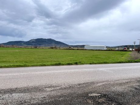 Αγροτεμάχια 13.400 τ.μ. προς πώληση