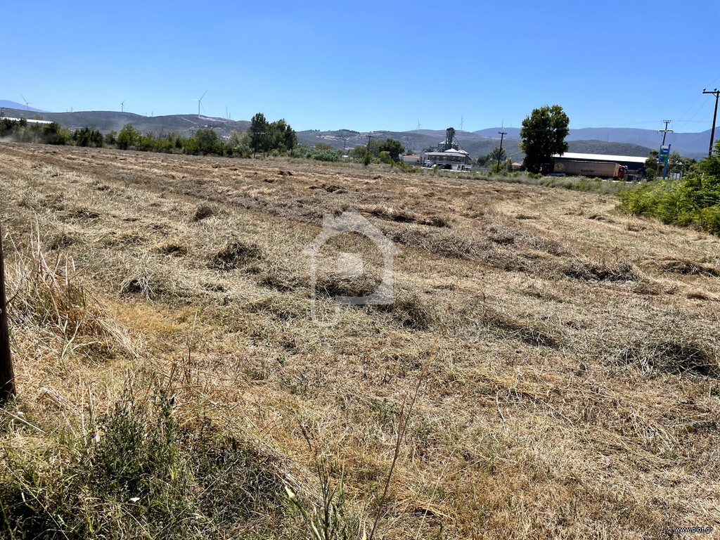 Αγροτεμάχια 13.400 τ.μ. πρός πώληση, Βοιωτία, Αλίαρτος